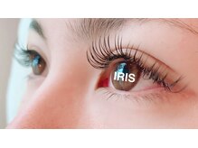 アイリス 八街店(IRIS)/オードリーフラットラッシュ