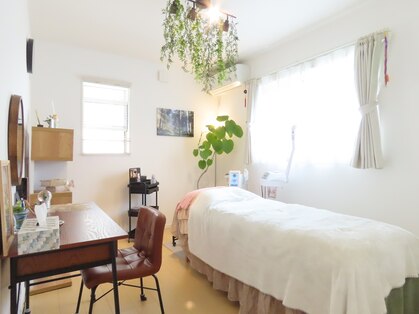 グリーンライツ(GREEN LIGHTS’)の写真