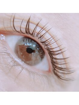 マシロ 立川(Mashiro)/バインドロック140束