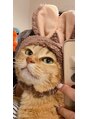 キューラッシュ 北千住店(Q-LASH)&nbsp;私の大切な家族さくちゃんのハロウィンです＾＾