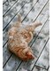 ミルラ(MYRRH)の写真/ムダ毛の気になる季節到来!ハイパワー脱毛で自己処理から卒業☆美肌へ導く次世代脱毛で輝く私に♪