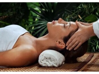 ロータスツリー(LOTUS TREE)/