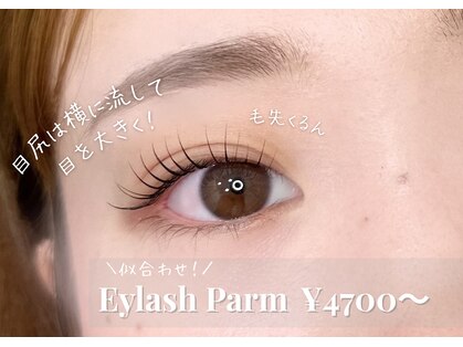 シュガーラッシュ(sugar lash)の写真