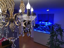 キレミカ 上越高田店の雰囲気（ゆらゆらと優雅な水槽に癒されながらゆったりとお話を♪）