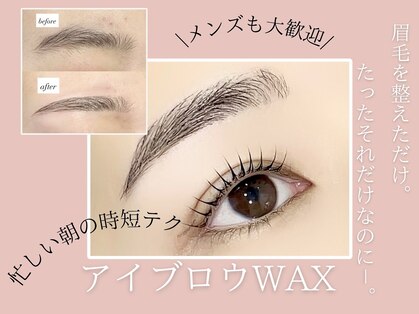 イオロ(iolo)の写真