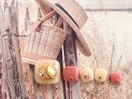 7月【定額】フット