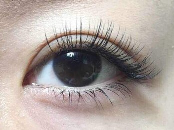 ミニョンアイラッシュデザインサロン くずは店/上下にまつげエクステ