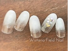 ウィスタリアフィールドネイル MONAD店(WISTARIA FIELD)/グラデーションネイル