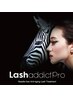 【LASH addict】＋2mmの自まつげケアコース＊サロンケア