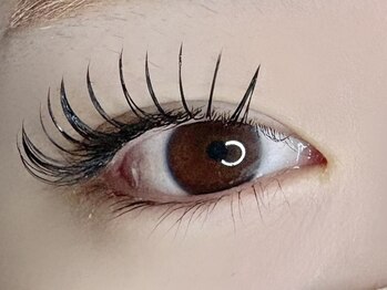 ラヴィアスプラス(LAVIAS+)/マツエク/まつ毛エクステ