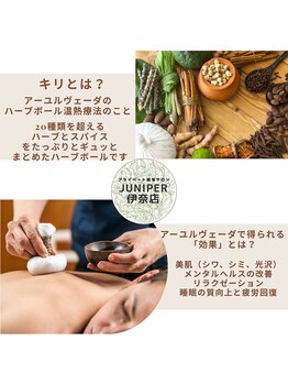 ジュニパー 伊奈店/キリ