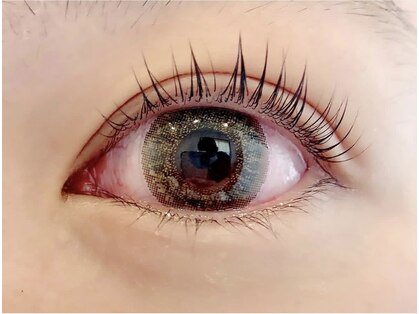 ルル(Lulu)の写真