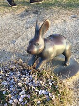 テラ エステ リラクゼーション(Te ra)&nbsp;高千代 