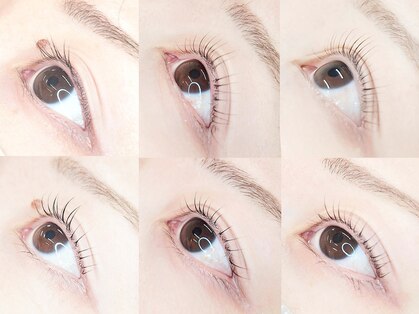 フェリーチェ(Felice)の写真