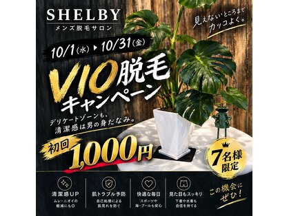 シェルビー(SHELBY)の写真