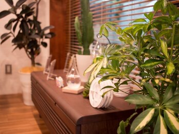 リゾート(Resort)/【リラクゼーション空間】