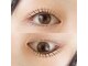 リノ(Lino)の写真