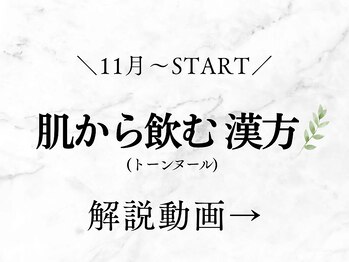 クレンズ(CLeanse)/漢方泥湿布(トーンヌール)