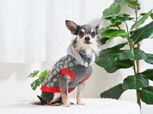 エステサロン エクラの雰囲気（#看板犬店長　#保護犬）