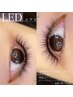 【モチの良さ抜群】　LEDエクステ ＋ボリュームラッシュ80束　/  ¥8250