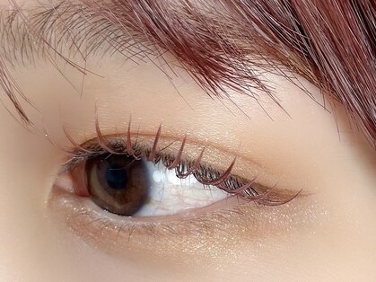 ヴィヴィ(Salon de Vi2)の写真