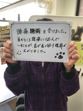 すみれ堂整骨院/頭痛専門施術・感想