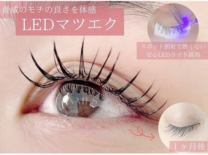 アイネイルズ 布施店(I.NAILS)の写真