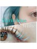 大人気color★フラットラッシュ120本or 3Dボリュームラッシュ300本☆MIXok♪