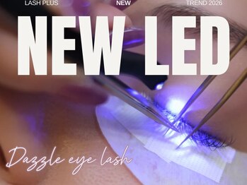ダズルアイラッシュ 綾瀬(Dazzle eyelash)/LEDエクステ