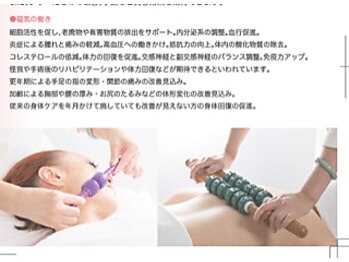 デンドロビューム(Dendrobium)/易筋洗髄棒