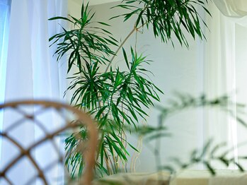 ライトヘナ(light HeNa)/都会の中の癒しの空間