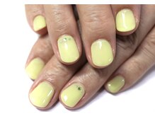 プロジェック/ワンカラー