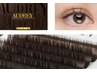 草津東口店限定！【Perfect Lash80束】Brown☆ナチュラル綺麗♪