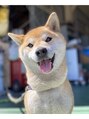 ラッシュスタイル 春日井店(Lash style) 実家で飼っている柴犬に会いに行くのが楽しみです♪