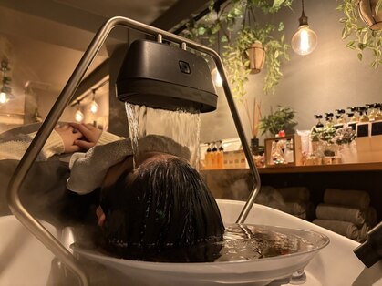 イノセント(innocent)の写真