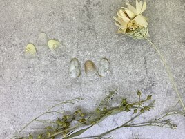 初回ソフトジェルオフ込7600円