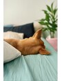 フルノーティス 六本木店(fl Notis) 愛犬の後頭部に癒されます