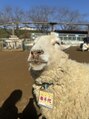 マキア 河口湖BELL店(MAQUIA) 動物が大好きなので、休日は動物とふれあえる場所に行きます♪