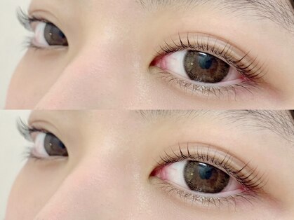 メヴィ(Mavie)の写真