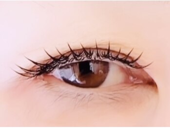 メイプル(MAPLE)/フラットラッシュ◎