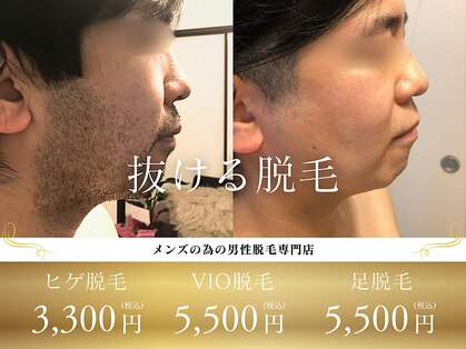 ジュゴン(Dugong)の写真