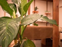 リゾート(Resort)/【リラクゼーション空間】