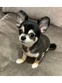 エピナ 千葉店(Epina)&nbsp;ピノ♪チワワ［千葉/脱毛/全身脱毛/ワックス脱毛/眉毛/髭］