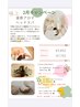 温感アロマヘッドスパ60分