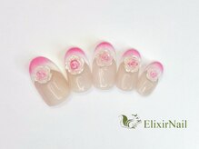 エリクサーネイル 新橋(Elixir Nail)/定額c やり放題/クーポン使用