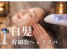 肩/首/デコルテマッサージ×ヘッドスパ×白髪改善 