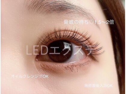 ツメトマツゲの写真