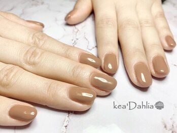 ケアダリア(kea’Dahlia)/ワンカラー【所沢/小手指】