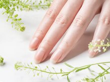 キラキラ(kirakira)