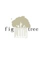 フィグ ツリー(fig tree)/yuki